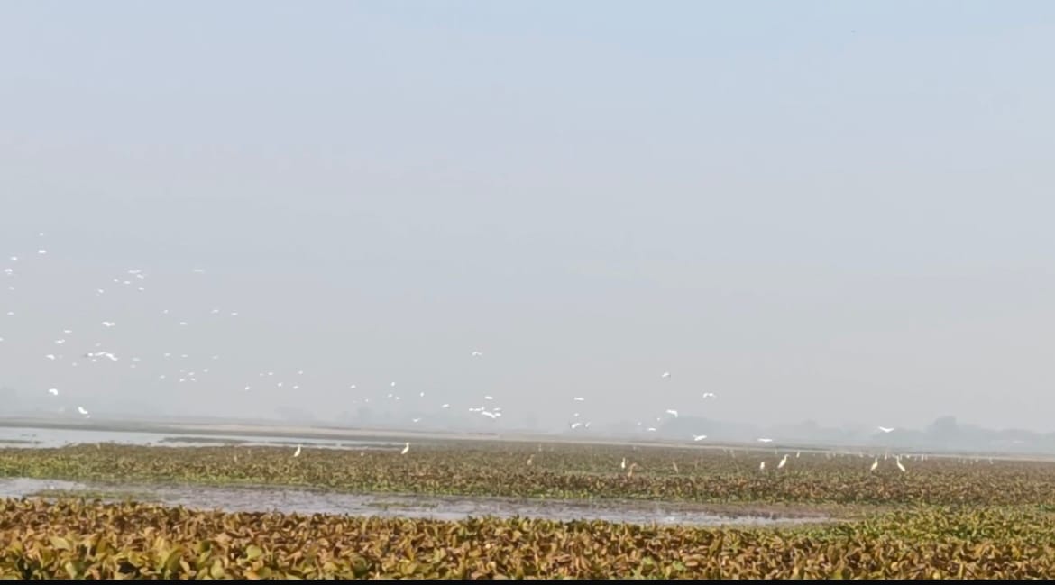 Gauri Rapti wetland landscape near Kala Namak Healing Farms
