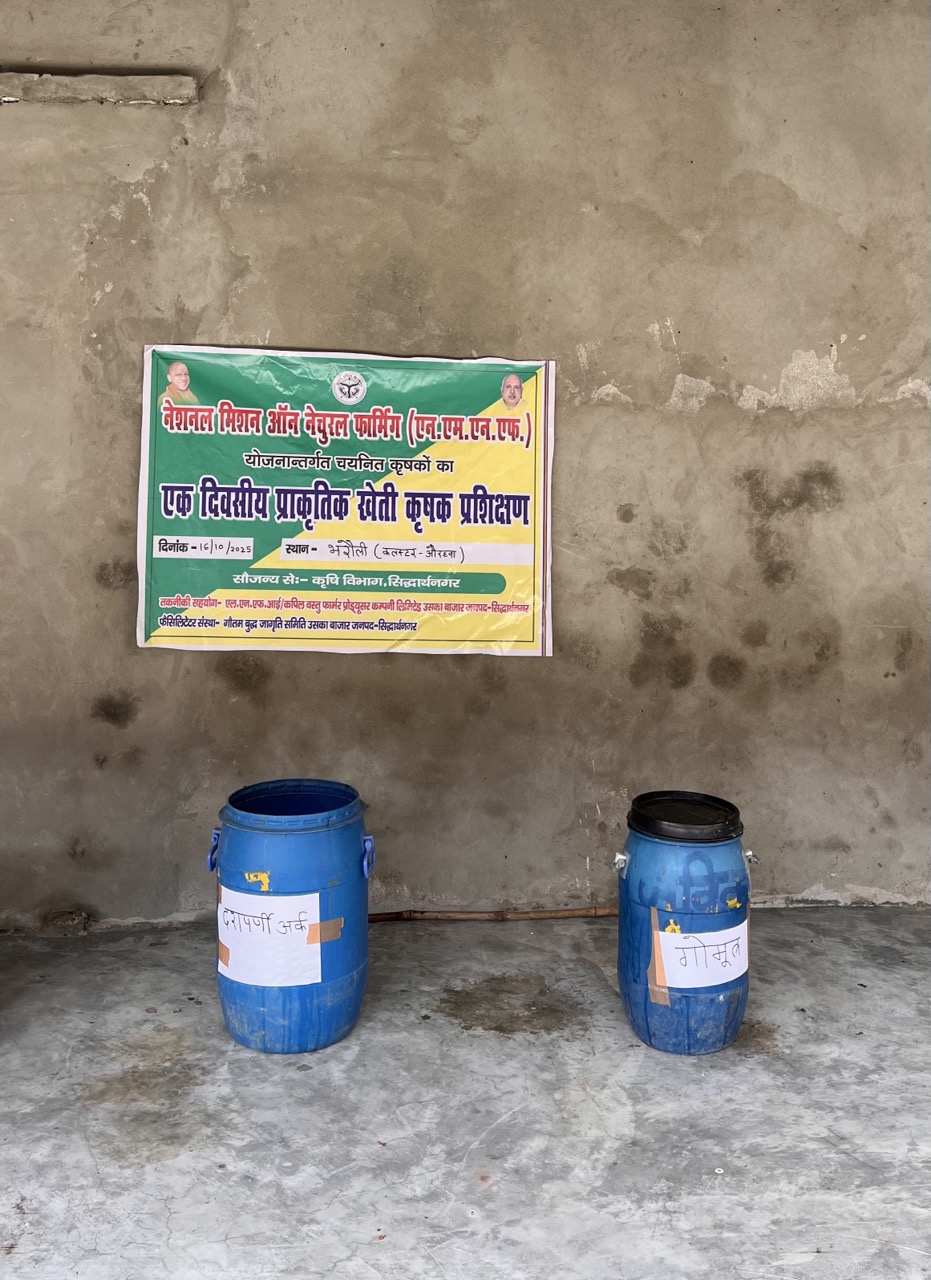 Kala Namak Healing Farms native rice fields