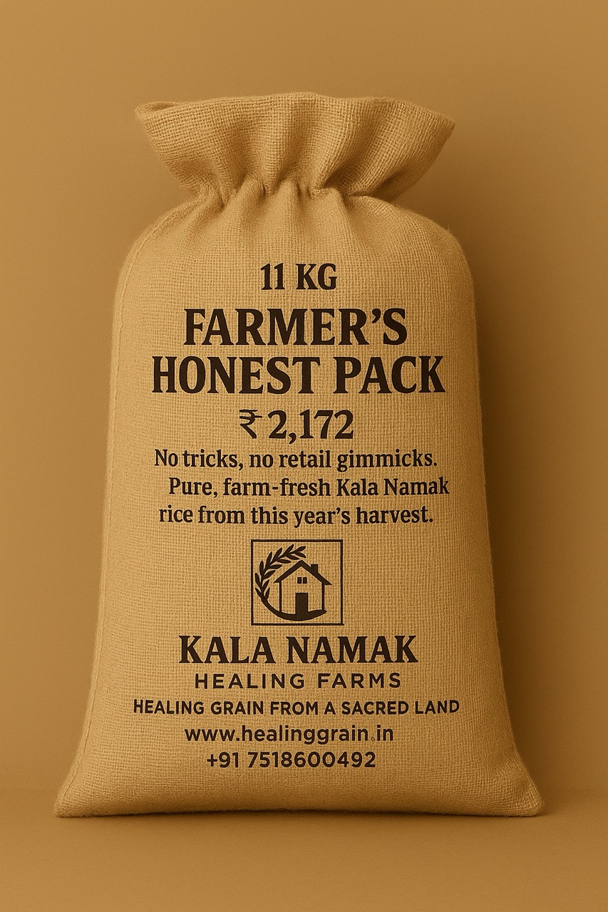 11 kg Kala Namak rice farm fresh family pack Siddharthnagar