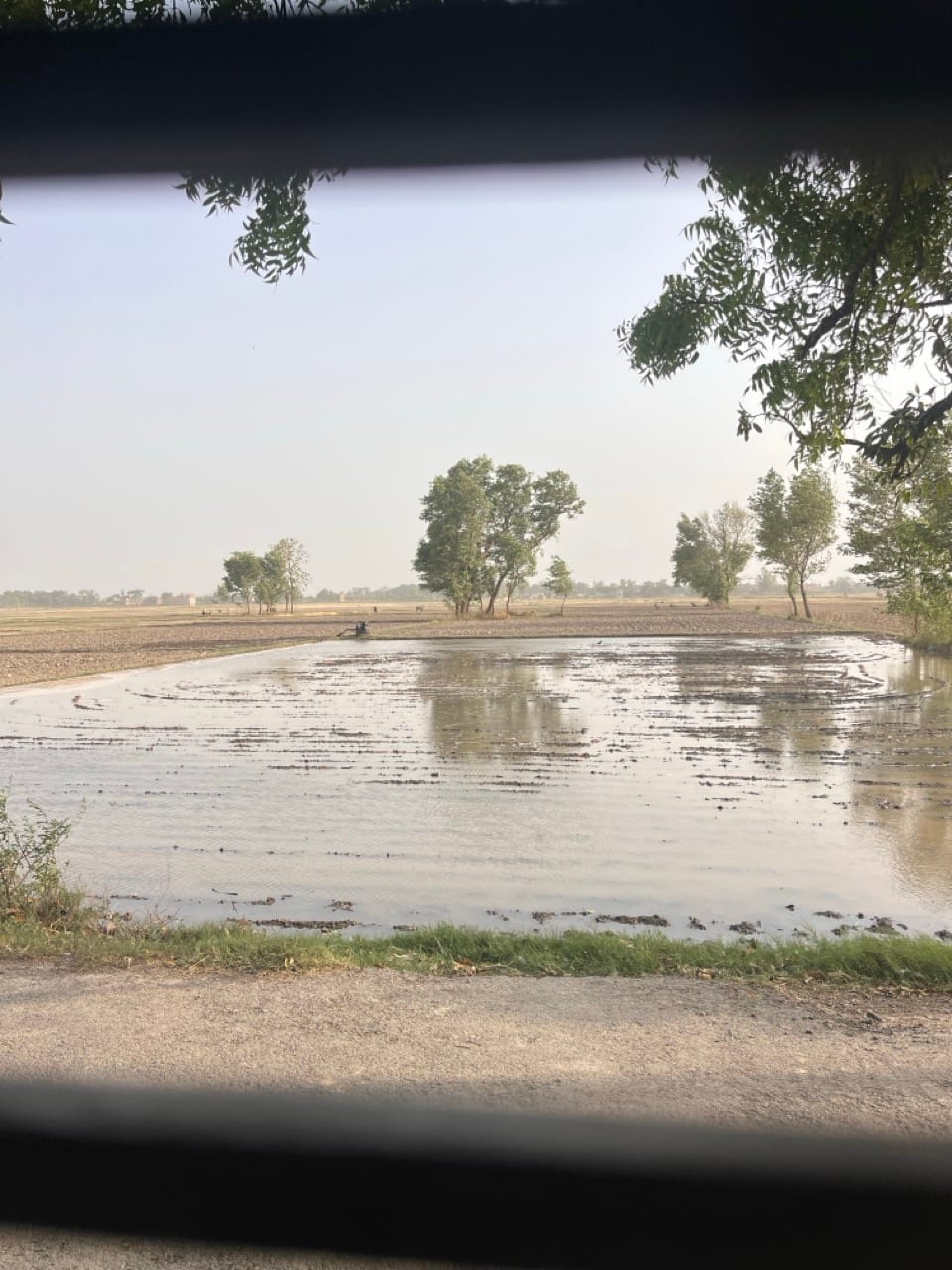 First irrigation before original Kala Namak rice sowing in Siddharthnagar